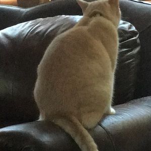 Meet your Posher, Nancy